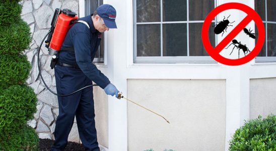 Hekimhan Fare İlaçlama böcek ilaçlama ve haşere kontrolü — ilaclama-tr.com